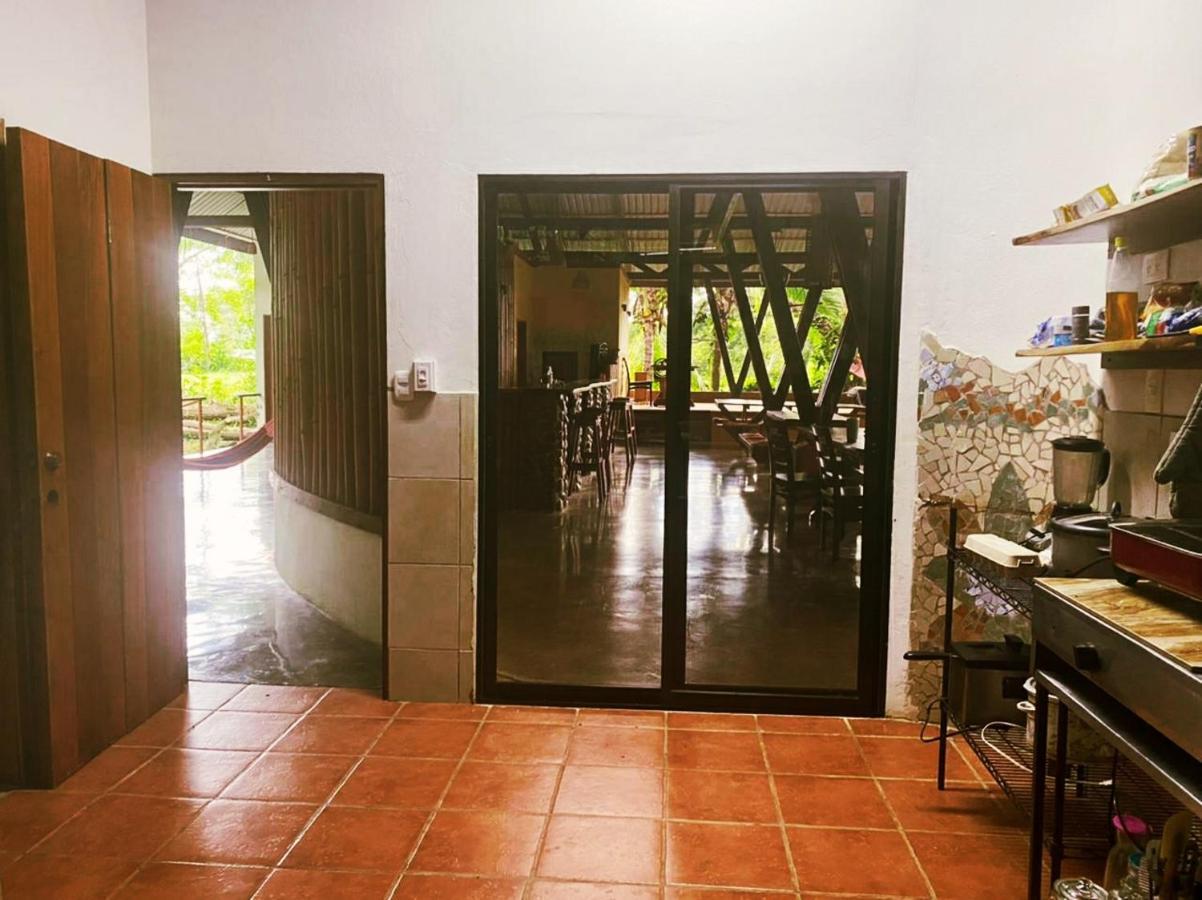 Luminosa Uvita Hostel Bagian luar foto
