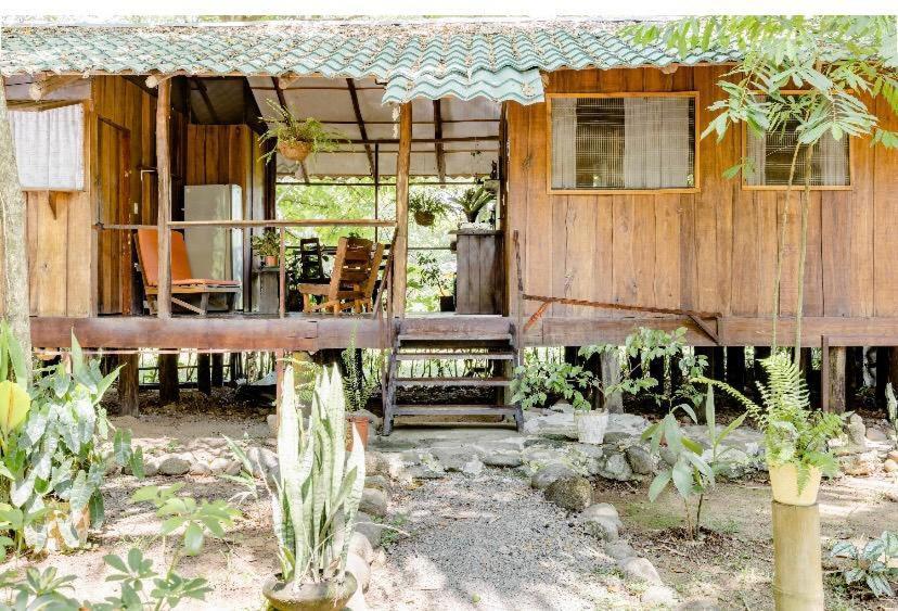 Luminosa Uvita Hostel Bagian luar foto