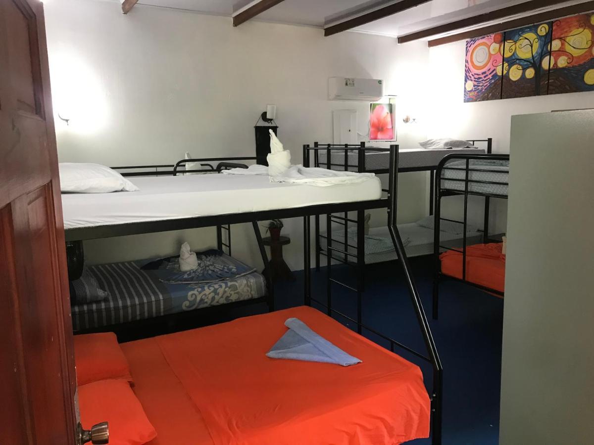 Luminosa Uvita Hostel Bagian luar foto