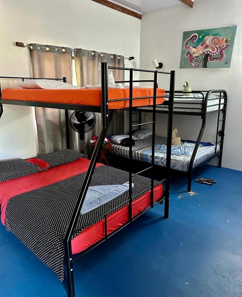 Luminosa Uvita Hostel Bagian luar foto
